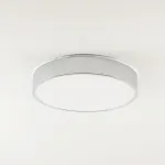 Потолочный светильник Zortes TORTTY ZRS.02565.36, Мощность - 36Вт, Тип лампы: LED SMD2835，Оптолинза RIO