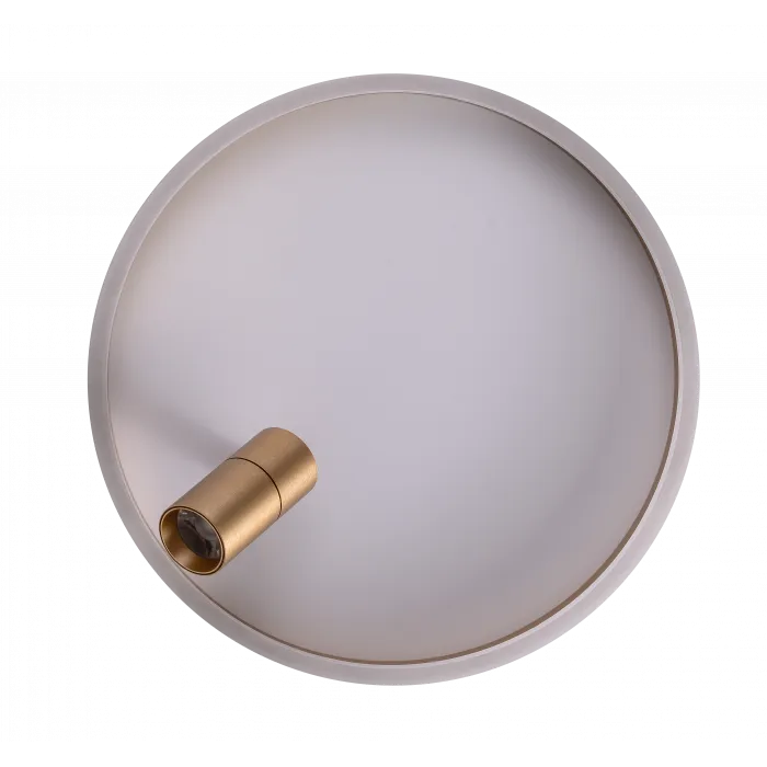 Светильник ZORTES RAIZY ZRS.1888.04 LED 29Вт от ImperiumLoft
