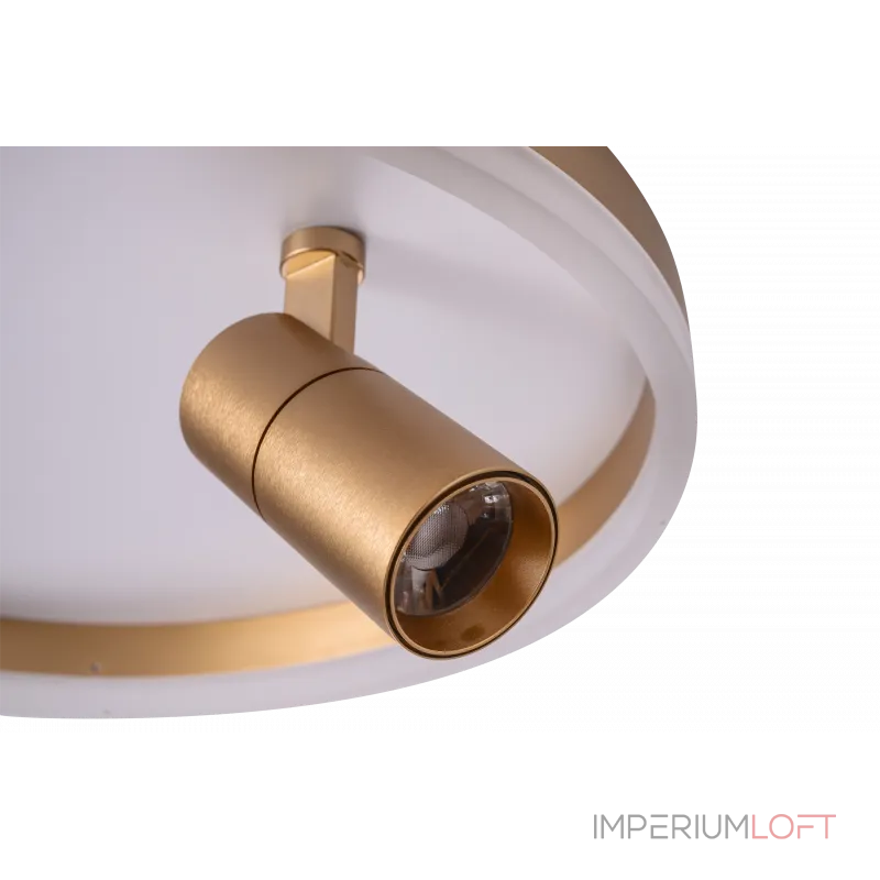 Светильник ZORTES RAIZY ZRS.1888.04 LED 29Вт от ImperiumLoft