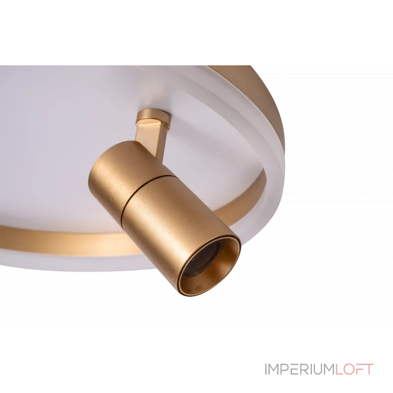 Светильник ZORTES RAIZY ZRS.1888.04 LED 29Вт от ImperiumLoft