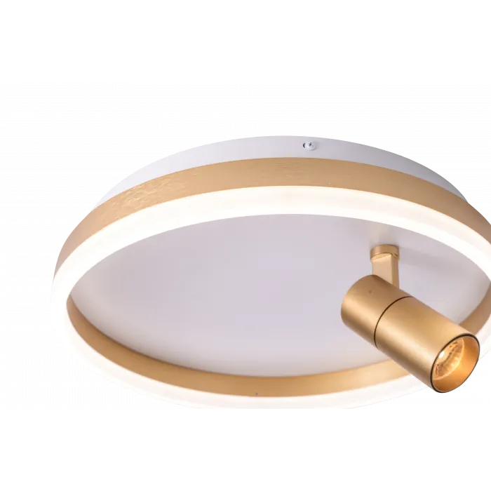 Светильник ZORTES RAIZY ZRS.1888.04 LED 29Вт от ImperiumLoft