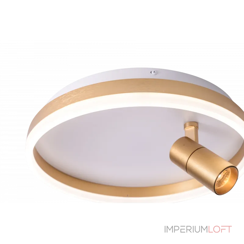 Светильник ZORTES RAIZY ZRS.1888.04 LED 29Вт от ImperiumLoft