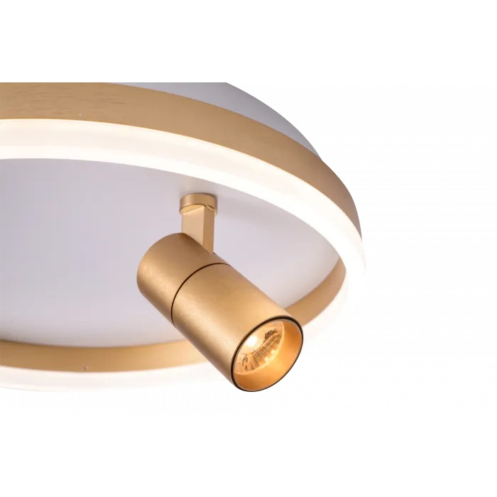 Светильник ZORTES RAIZY ZRS.1888.04 LED 29Вт от ImperiumLoft