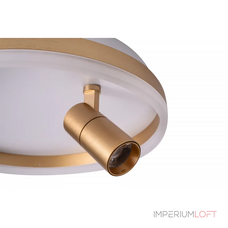 Светильник ZORTES RAIZY ZRS.1888.04 LED 29Вт от ImperiumLoft