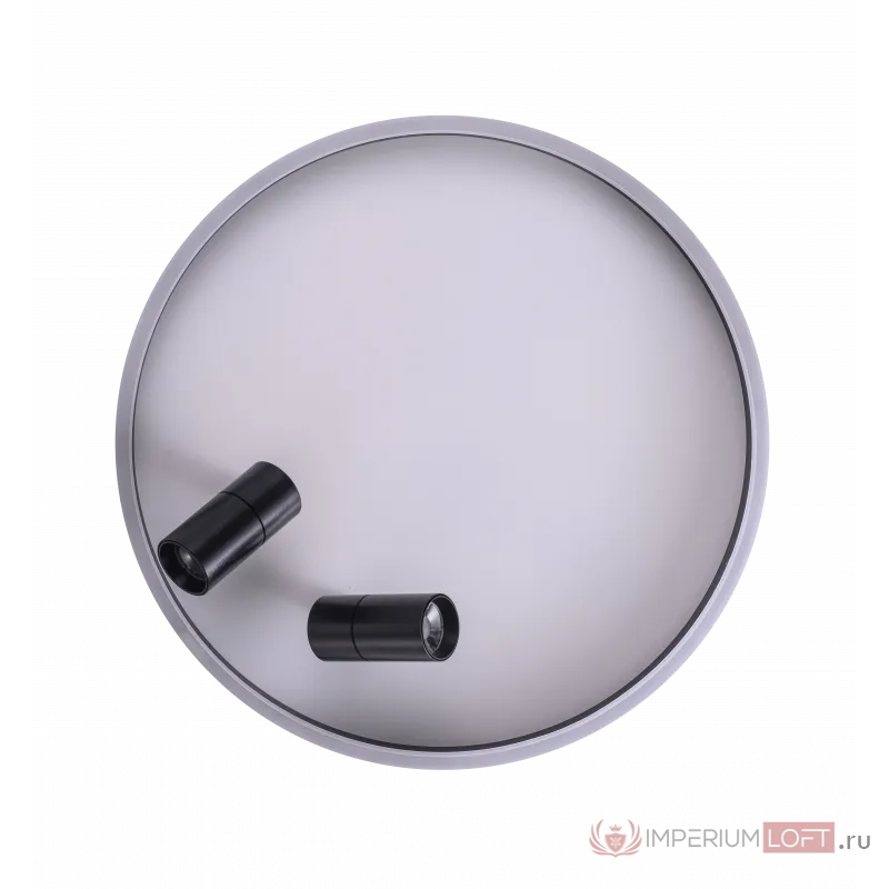 Светильник ZORTES RAIZY ZRS.1888.01 LED 40Вт от ImperiumLoft