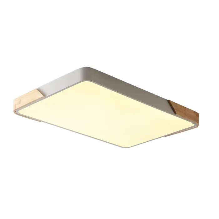 Светильник потолочный ZORTES ALBERRO ZRS.01233.60 LED 60Вт от ImperiumLoft
