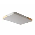 Светильник потолочный ZORTES ALBERRO ZRS.01233.60 LED 60Вт от ImperiumLoft