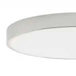 Потолочный светильник Zortes TORTTY ZRS.02565.96, Мощность - 96Вт, Тип лампы: LED SMD2835，Оптолинза RIO