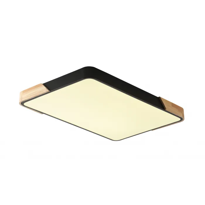 Светильник потолочный ZORTES ALBERRO ZRS.01244.60 LED 60Вт от ImperiumLoft