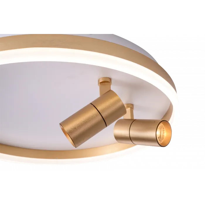 Светильник ZORTES RAIZY ZRS.1888.02 LED 40Вт от ImperiumLoft