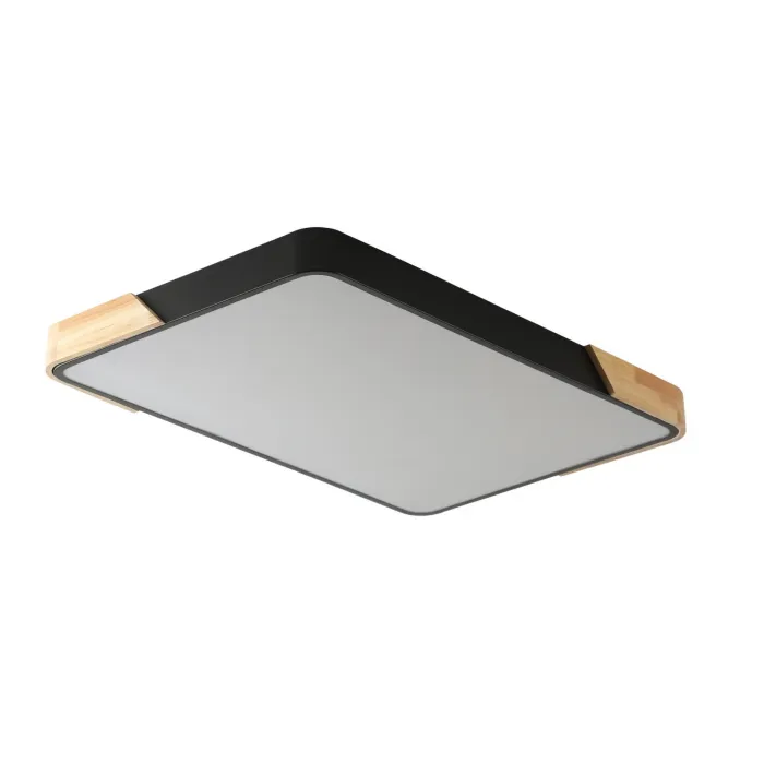 Светильник потолочный ZORTES ALBERRO ZRS.01244.60 LED 60Вт от ImperiumLoft