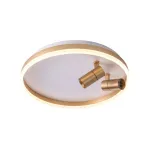 Светильник ZORTES RAIZY ZRS.1888.02 LED 40Вт от ImperiumLoft