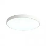 Потолочный светильник Zortes TORTTY ZRS.02564.120, Мощность - 120Вт, Тип лампы: LED SMD2835，Оптолинза RIO от ImperiumLoft