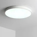 Потолочный светильник Zortes TORTTY ZRS.02564.120, Мощность - 120Вт, Тип лампы: LED SMD2835，Оптолинза RIO от ImperiumLoft