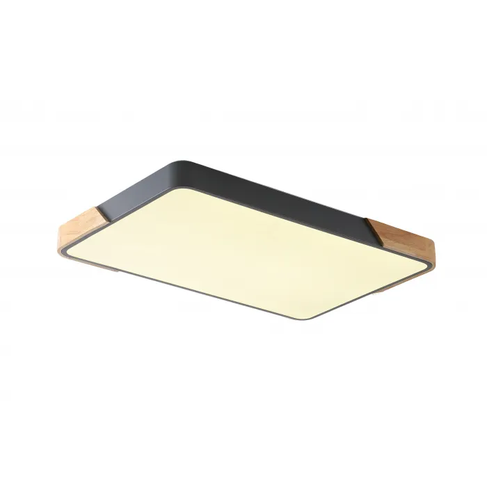 Светильник потолочный ZORTES ALBERRO ZRS.01277.60 LED 60Вт от ImperiumLoft
