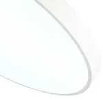 Потолочный светильник Zortes TORTTY ZRS.02564.120, Мощность - 120Вт, Тип лампы: LED SMD2835，Оптолинза RIO от ImperiumLoft