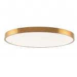 Потолочный светильник Zortes TORTTY ZRS.02566.120, Мощность - 120Вт, Тип лампы: LED SMD2835，Оптолинза RIO от ImperiumLoft