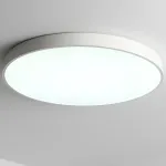 Потолочный светильник Zortes TORTTY ZRS.02564.120, Мощность - 120Вт, Тип лампы: LED SMD2835，Оптолинза RIO от ImperiumLoft