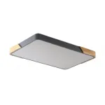 Светильник потолочный ZORTES ALBERRO ZRS.01277.60 LED 60Вт от ImperiumLoft