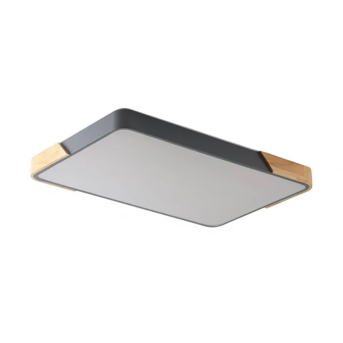 Светильник потолочный ZORTES ALBERRO ZRS.01277.60 LED 60Вт от ImperiumLoft