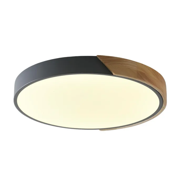 Светильник потолочный ZORTES ALBERRO ZRS.01280.24 LED 24Вт от ImperiumLoft