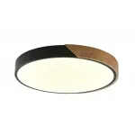 Светильник потолочный с пультом ZORTES ALBERRO ZRS.01287.24 LED 24Вт от ImperiumLoft