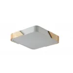 Светильник потолочный ZORTES ALBERRO ZRS.01285.48 LED 48Вт от ImperiumLoft