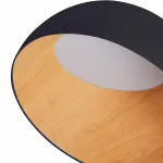 Потолочный светильник Zortes Baum ZRS.01243.07, Мощность - 40Вт, Тип лампы: Epistar LED от ImperiumLoft