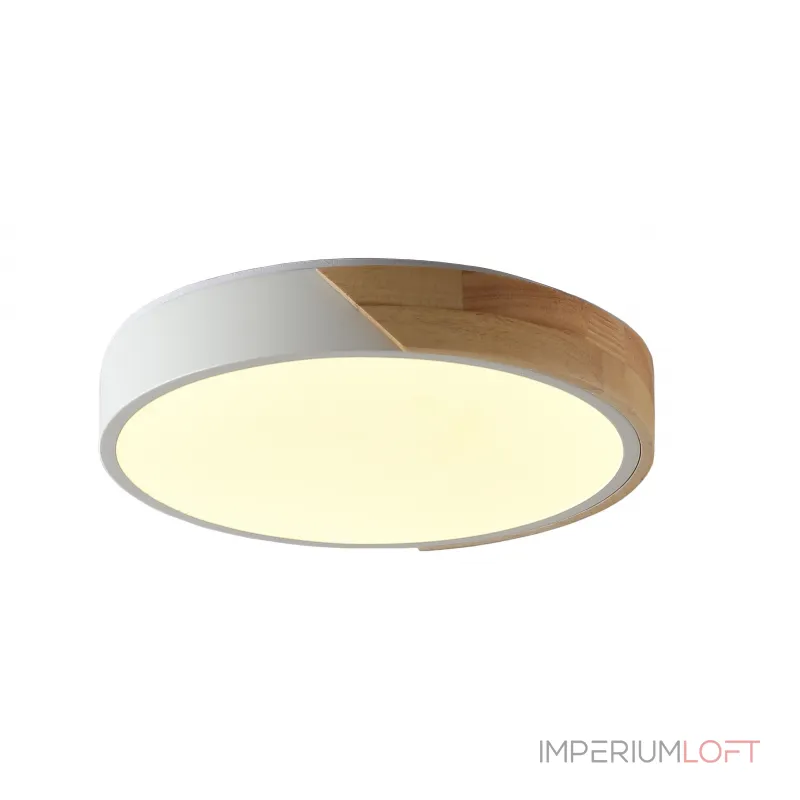 Светильник потолочный ZORTES ALBERRO ZRS.01239.90 LED 96Вт от ImperiumLoft Светильник потолочный ZORTES ALBERRO ZRS.01239.90 LED 96Вт от ImperiumLoft