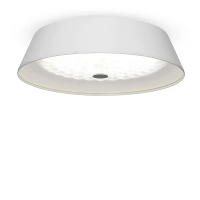 Потолочный светильник Freya Cells FR10013CL-L24W