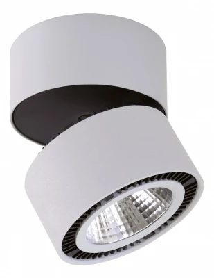 Светильник на штанге Lightstar Forte Muro 214830