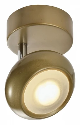 Спот Carissa TL1244Y-01SG Toplight