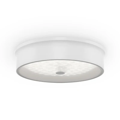 Потолочный светильник Freya Cells FR10011CL-L24W