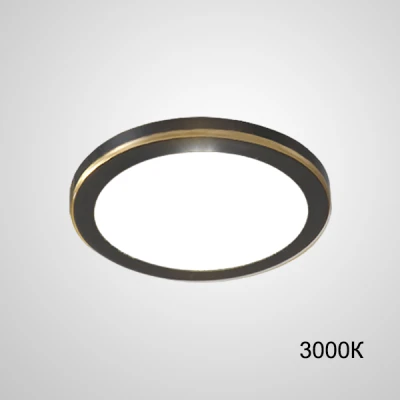 Точечный светодиодный светильник HEIN D12 Black 3000К