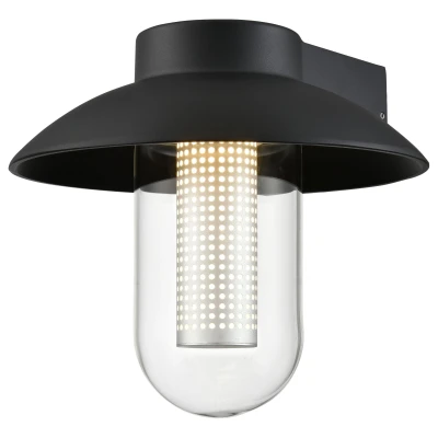 Светильник уличный настенный Wertmark WELLA WE936.01.021