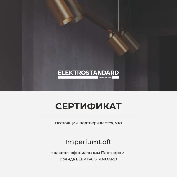 ImperiumLoft - официальный представитель брендов ELEKTROSTANDARD2479-1698.1040742235