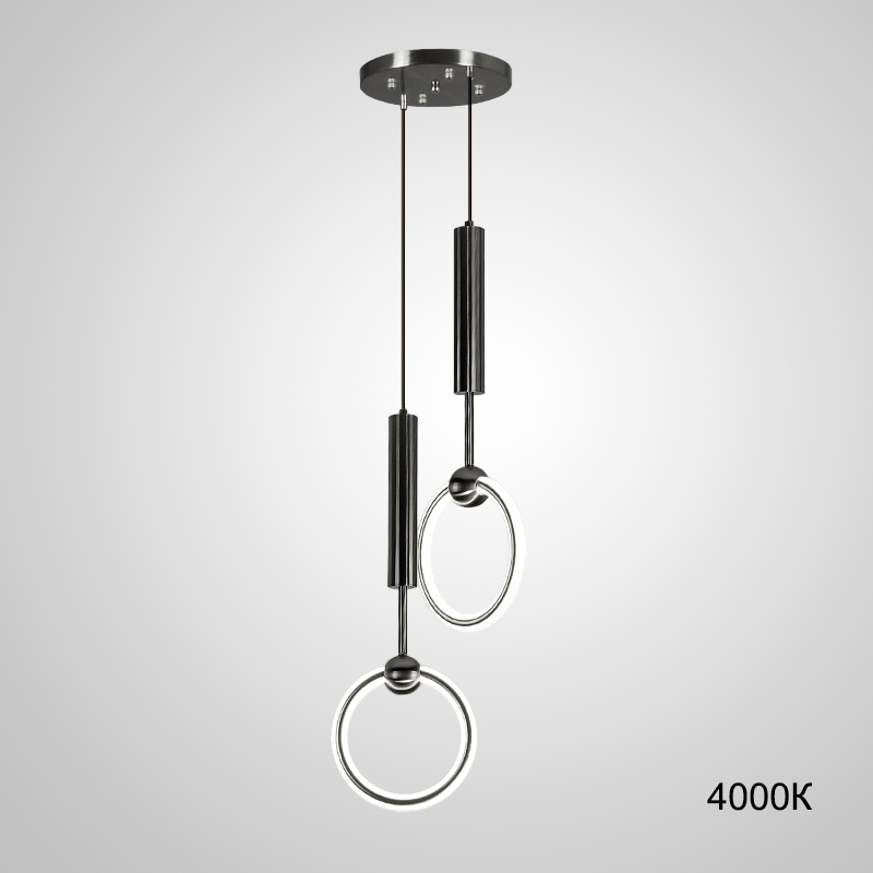 Подвесной светильник ring-duo01