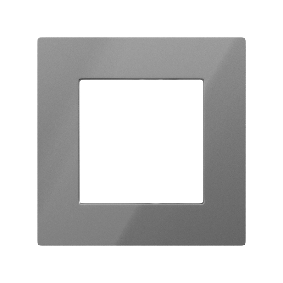 1 Frame Glass F55 Grey