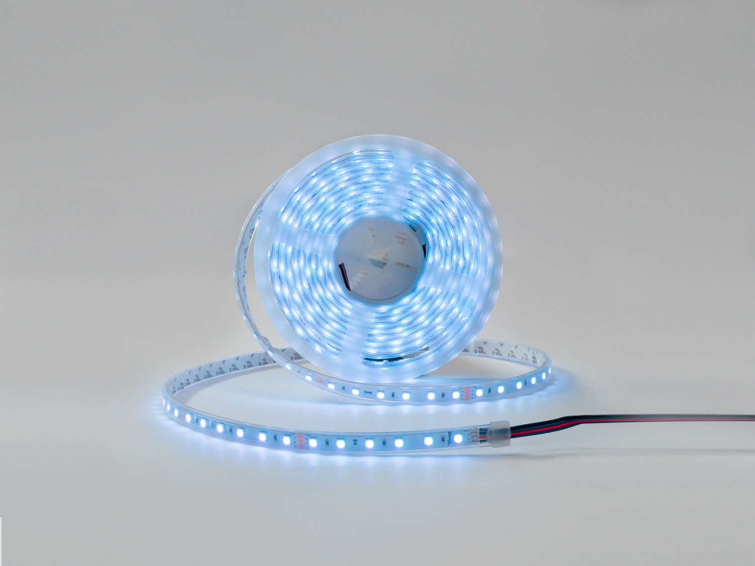 DSG560-24-RGB-65