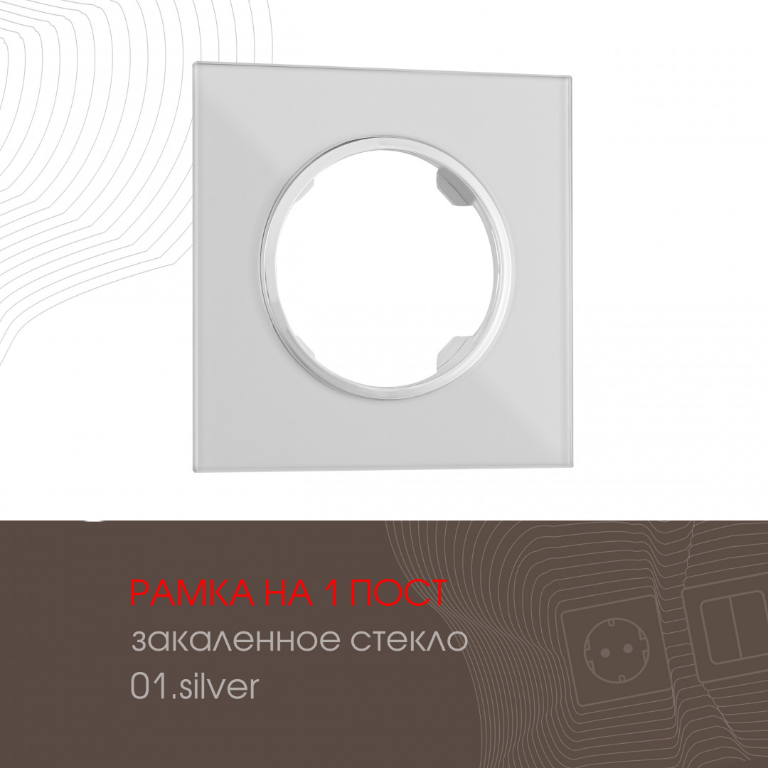 502.01-1.silver