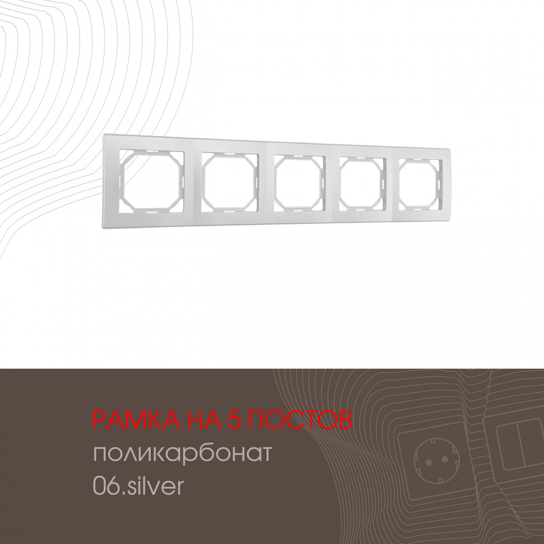 503.06-5.silver