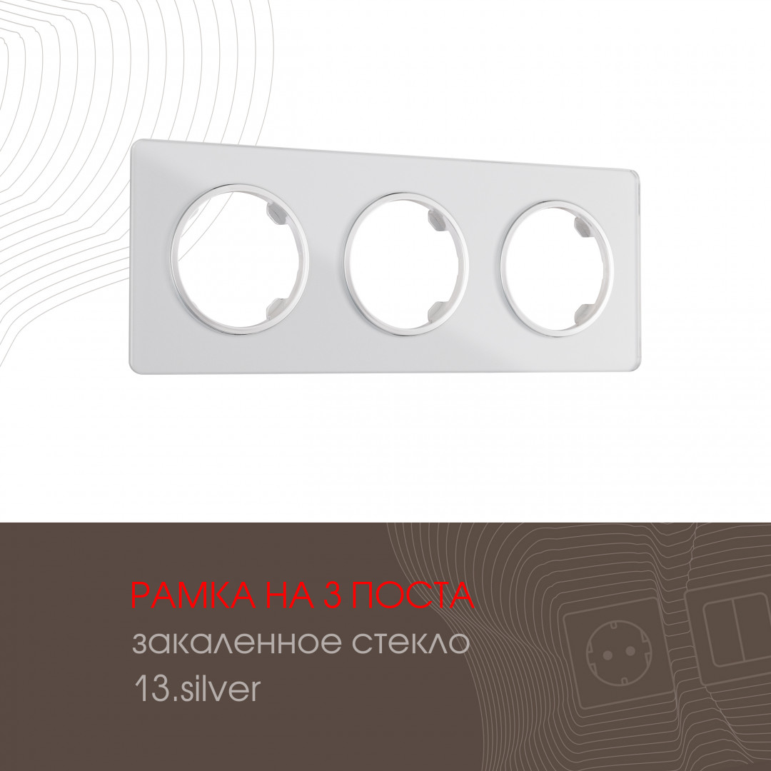 502.13-3.silver