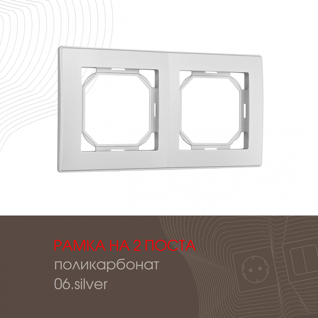 503.06-2.silver