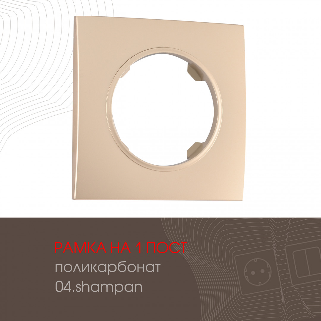 502.04-1.shampan