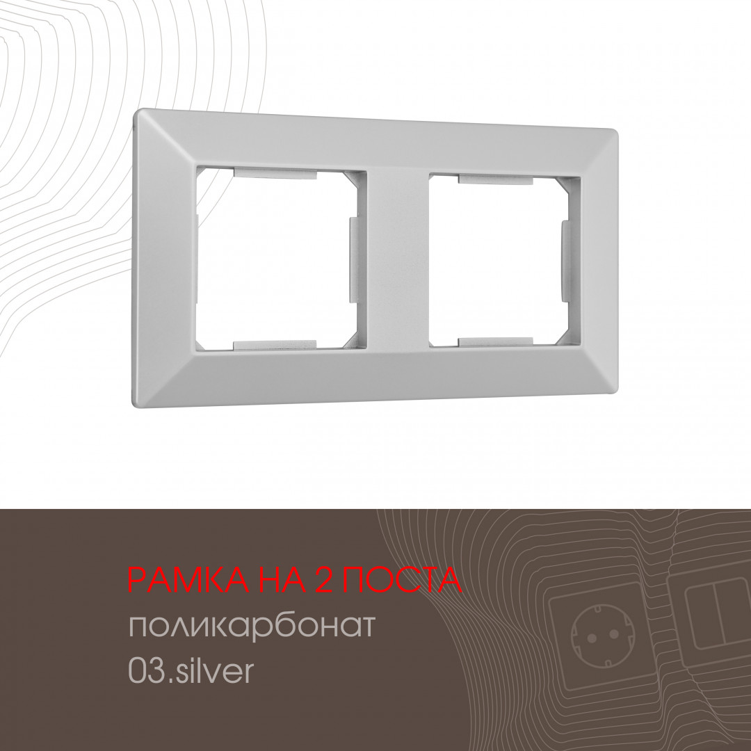 503.03-2.silver
