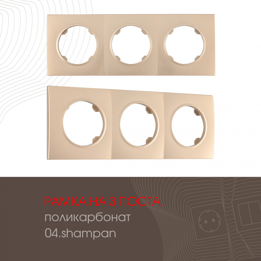 502.04-3.shampan