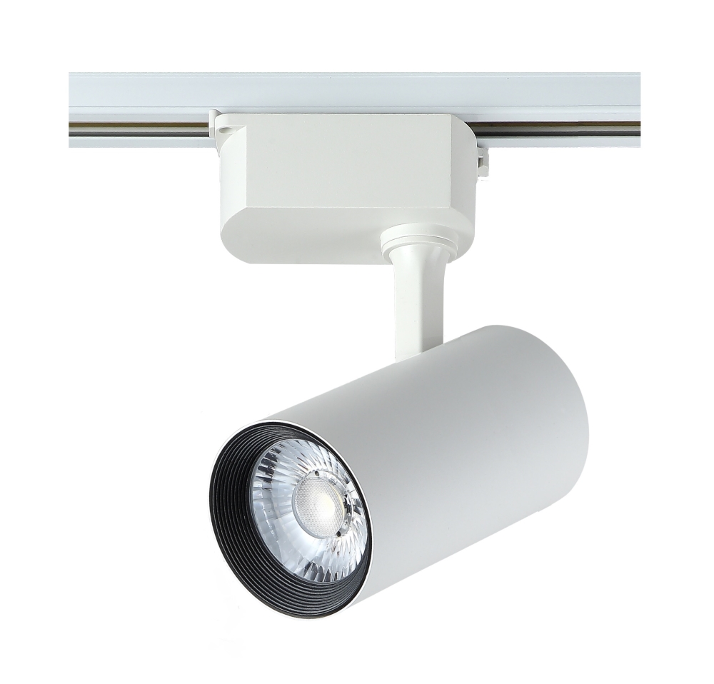 CLT 0.31 006 20W WH