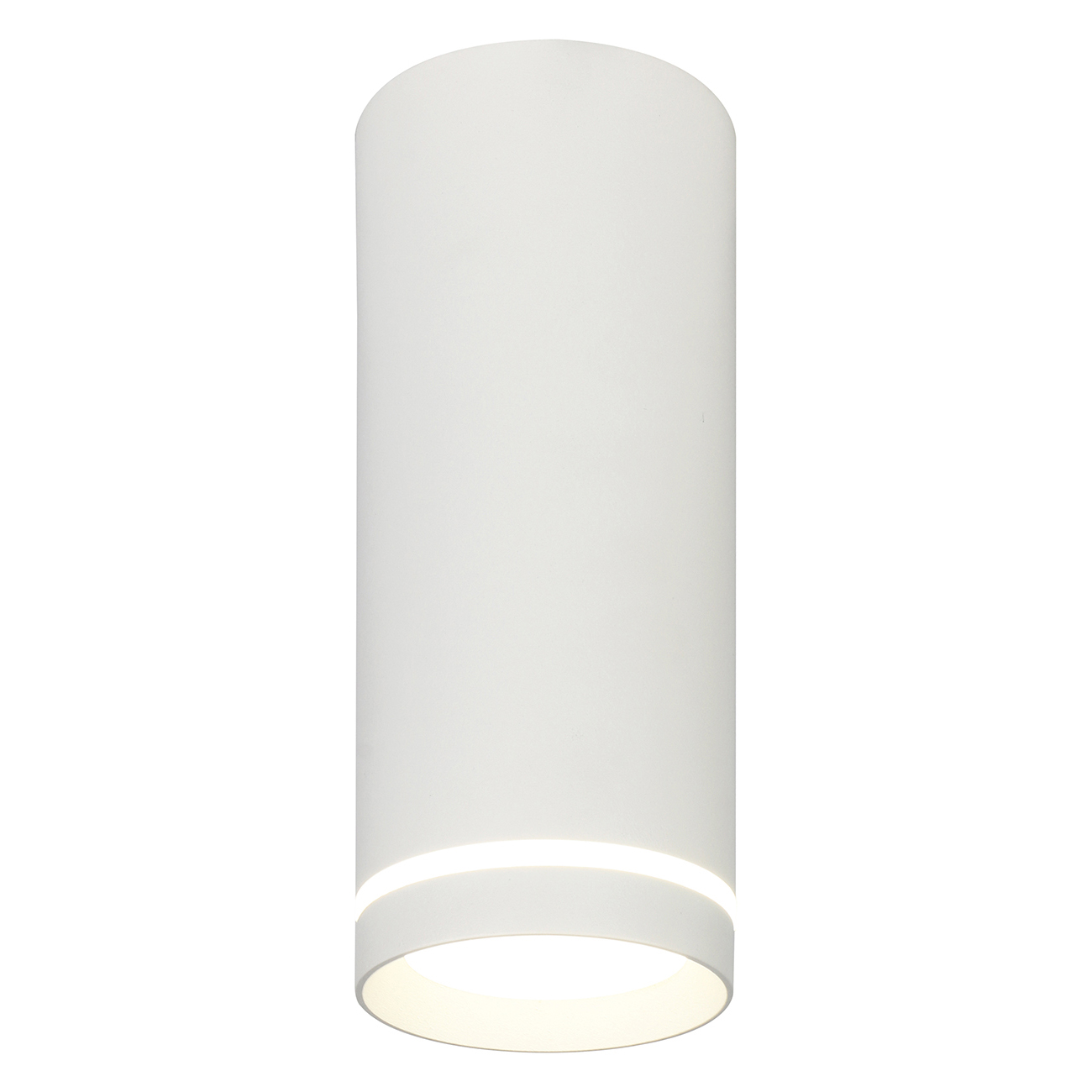 20009SMU/02LED SWH