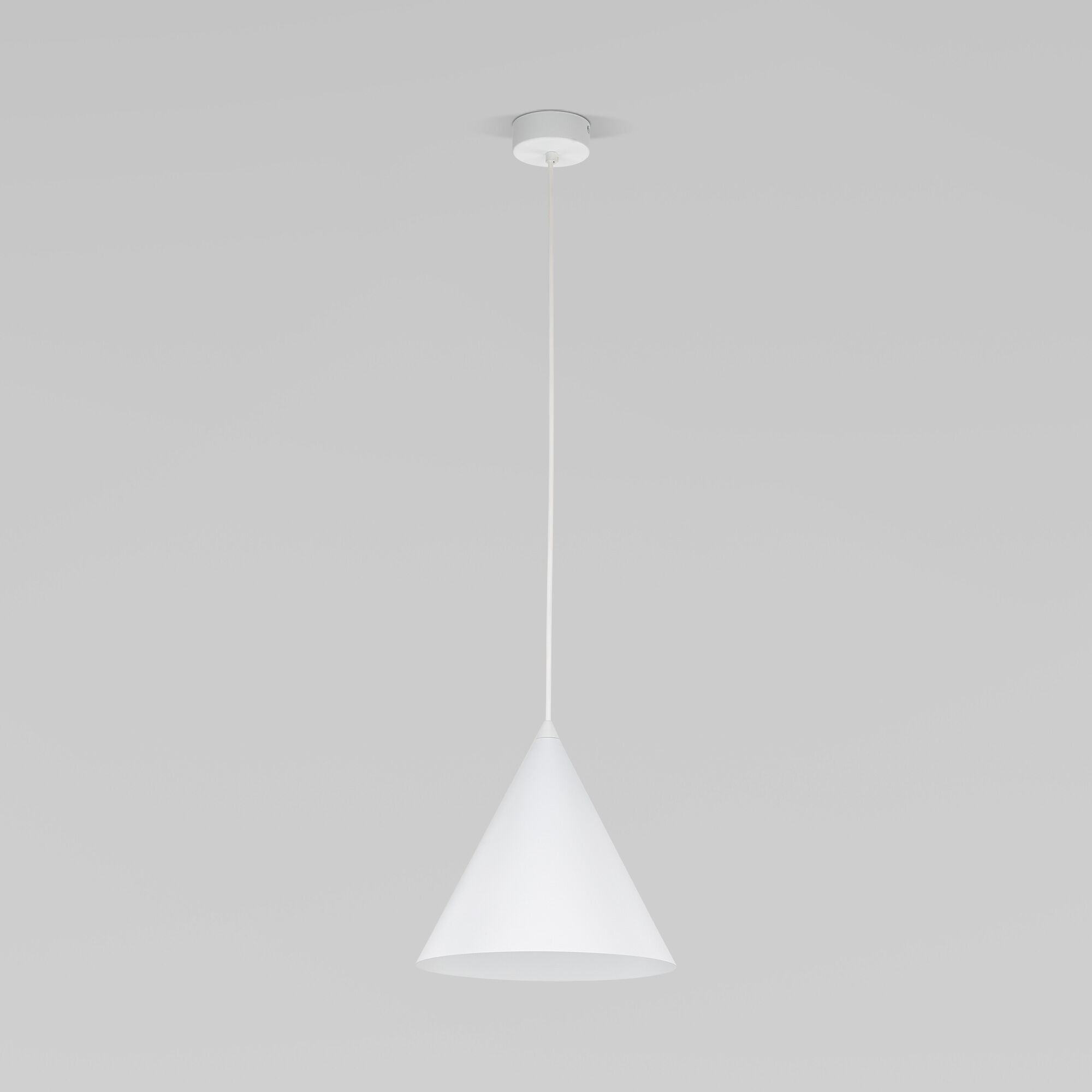 10008 Cono