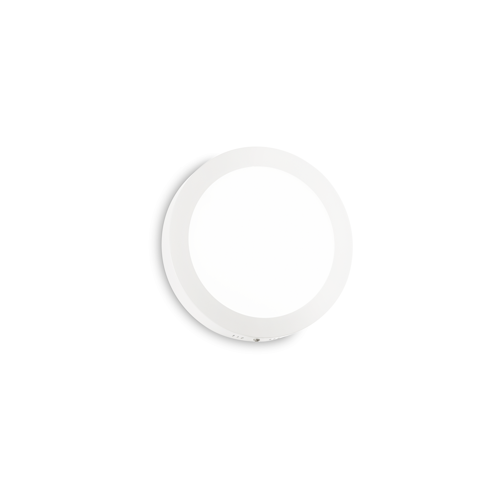 321776